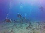 Hawaii Scuba divng 12