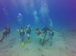 Hawaii Scuba divng 13