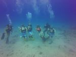 Hawaii Scuba divng 14