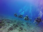 Hawaii Scuba divng 16