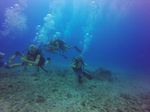 Hawaii Scuba divng 19