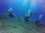 Hawaii Scuba divng 20