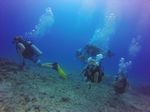 Hawaii Scuba divng 21