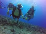 Hawaii Scuba divng 23