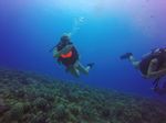 Hawaii Scuba divng 25