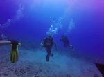 Hawaii Scuba divng 26