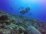 Hawaii Scuba divng 27