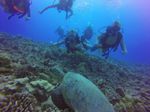 Hawaii Scuba divng 29