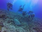 Hawaii Scuba divng 32