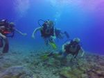 Hawaii Scuba divng 34