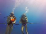 Hawaii Scuba divng 03