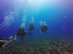 Hawaii Scuba divng 40