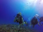 Hawaii Scuba divng 42