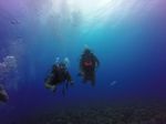 Hawaii Scuba divng 43