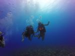 Hawaii Scuba divng 44