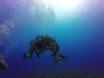 Hawaii Scuba divng 45