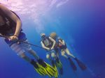 Hawaii Scuba divng 46