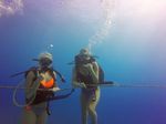 Hawaii Scuba divng 04