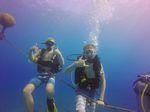 Hawaii Scuba divng 06