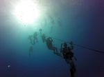 Hawaii Scuba divng 07