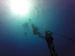 Hawaii Scuba divng 08