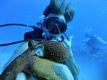 Waikiki scuba 26
