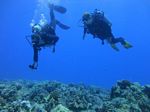 Honolulu scuba 01
