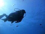 Hawaii Scuba divng 13