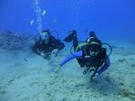 Hawaii Scuba divng 15