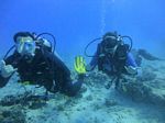 Hawaii Scuba divng 21