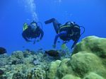 Hawaii Scuba divng 22