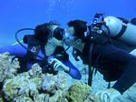 Hawaii Scuba divng 26