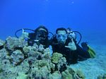 Hawaii Scuba divng 27