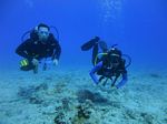 Hawaii Scuba divng 30