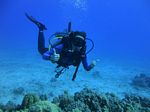 Hawaii Scuba divng 31