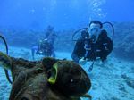 Hawaii Scuba divng 35