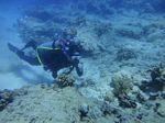 Hawaii Scuba divng 10