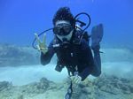 Hawaii Scuba divng 12