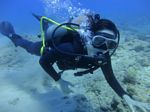 Hawaii Scuba divng 13