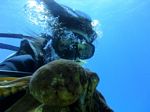 Hawaii Scuba divng 19