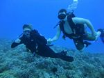 Hawaii Scuba divng 10