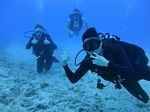 Hawaii Scuba divng 11