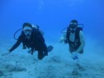 Hawaii Scuba divng 13