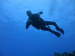 Hawaii Scuba divng 14