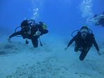 Hawaii Scuba divng 17