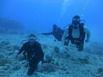 Hawaii Scuba divng 35