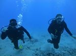 Hawaii Scuba divng 39