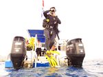 Hawaii Scuba divng 44