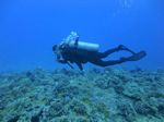 Hawaii Scuba divng 47