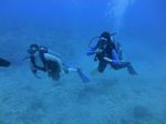 Hawaii Scuba divng 49